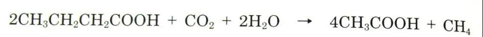 可回收再利用的塑料袋：可生物降解塑料(圖7)