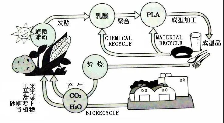 可生物降解環(huán)保塑料可以回收再利用嗎？(圖4)